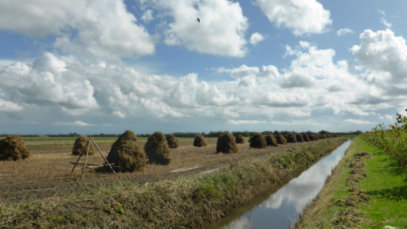 Wandelen over Walcheren: Trage Tocht Zoutelande