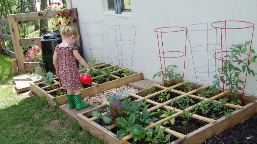 Ecologisch moestuinieren op Landleven in de Praktijk