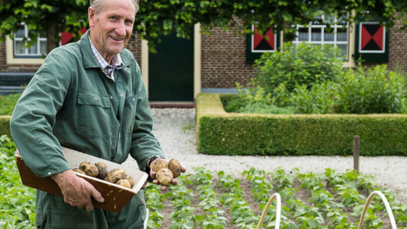 Aardappelen bewaren