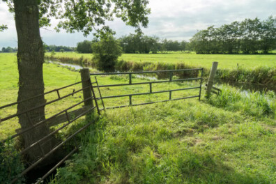 Wandeling van de maand: Groene Wissel Opeinde