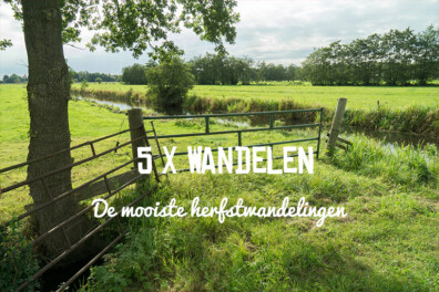 5 x de mooiste herfstwandelingen