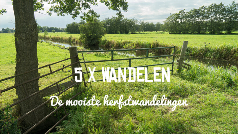 5 x de mooiste herfstwandelingen