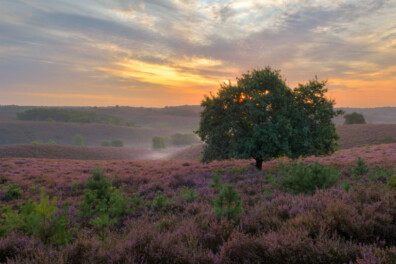 Fietsen over de heuvels in Nationaal Park Veluwezoom