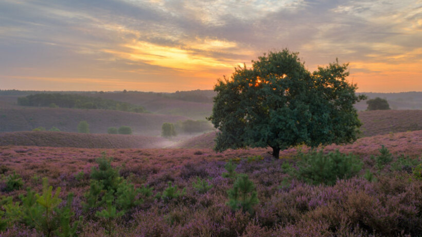 Fietsen over de heuvels in Nationaal Park Veluwezoom