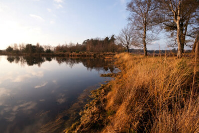 Fietsen door veengebied het Dwingelderveld