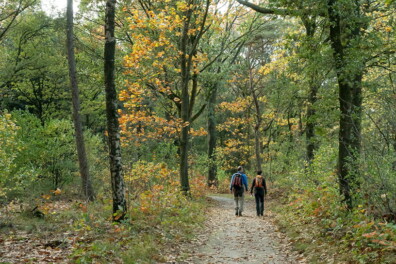 Wandeling van de maand: Groene Wissel Sint Anthonis