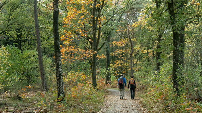 Wandeling van de maand: Groene Wissel Sint Anthonis