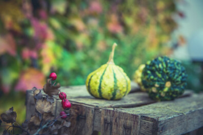 Tuintips voor oktober