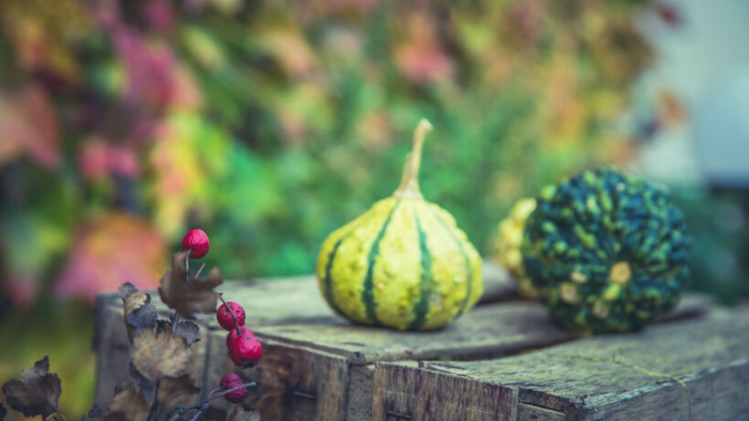 Tuintips voor oktober