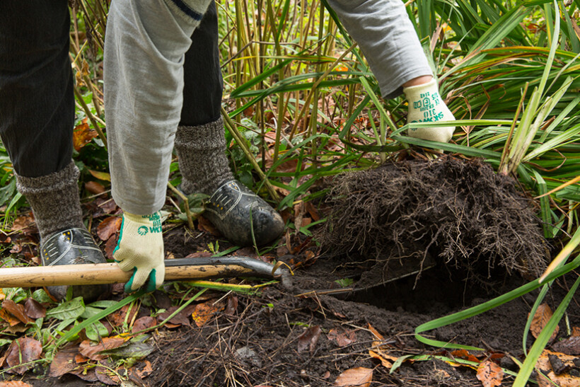 Bodemonderzoek voor je tuin