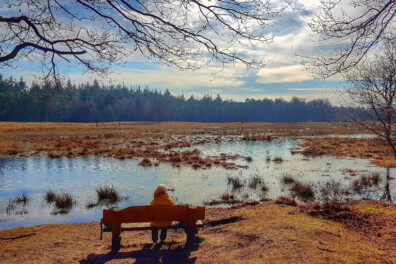 Wandeling van de maand: Trage Tocht Baarn