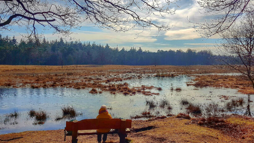 Wandeling van de maand: Trage Tocht Baarn