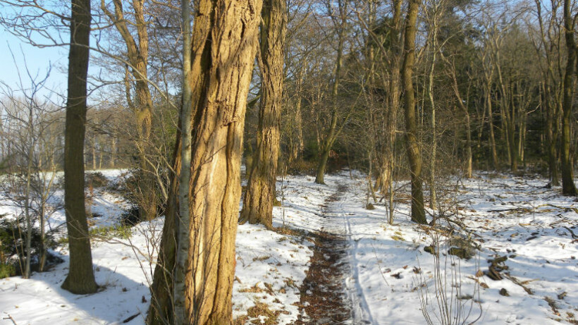 Wandeling van de maand: landgoedwandeling Laag Zuthem