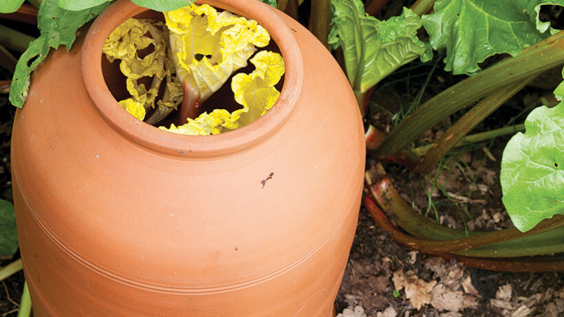 Hoe gebruik je bleekpotten en stolpen in de moestuin?