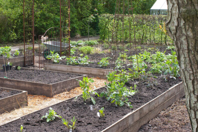 Tips en klussen voor de tuin in het voorjaar