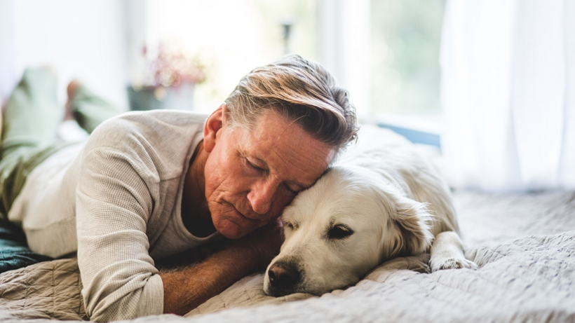 Je huisdier in bed: doen of niet doen?