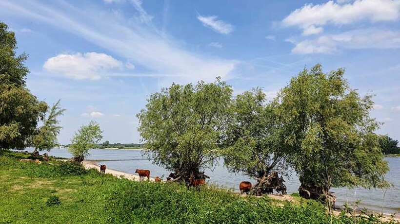 Wandeling van de maand: Trage Tocht Ewijk