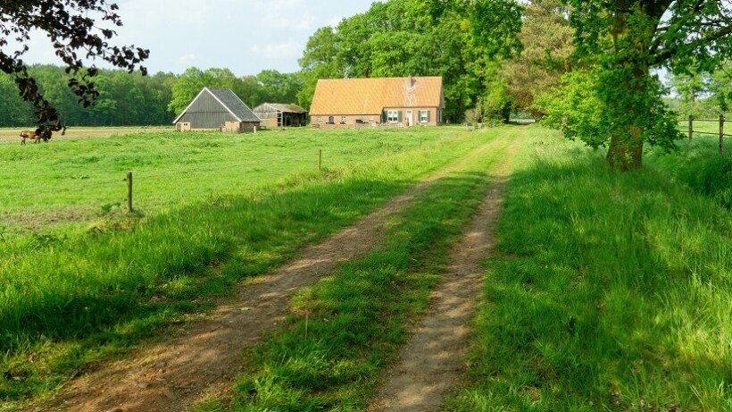 Wandeling van de maand: Groene Wissel Winterswijk