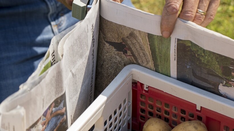 Sjefs tuintips: aardappelen bewaren