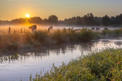 Fietsen door het hart van het Dinkelland