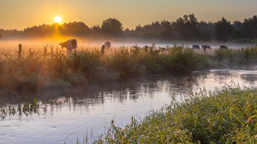 Fietsen door het hart van het Dinkelland