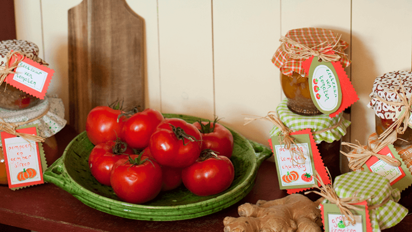 Genieten van je tomatenoogst: 10 recepten