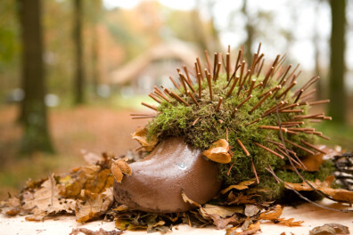 Knutselen in de herfst: 10 creatieve projecten