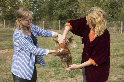 Hoe pak je dieren goed op?