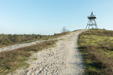 Wandeling van de maand: Groene Wissel Afferden