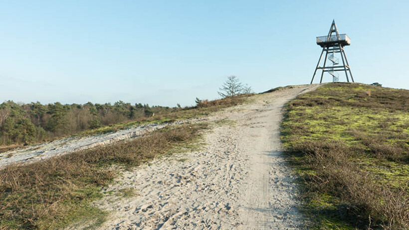 Wandeling van de maand: Groene Wissel Afferden