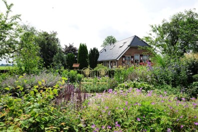 Oplossingen voor 7 tuinproblemen