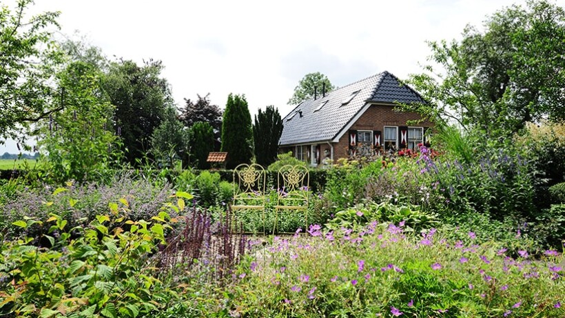 Oplossingen voor 7 tuinproblemen