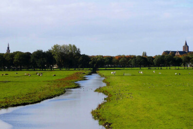 Vertrouwd geluid: kerkklokken