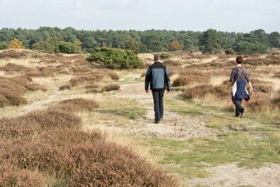 Wandeling van de maand: Groene Wissel Gasselte