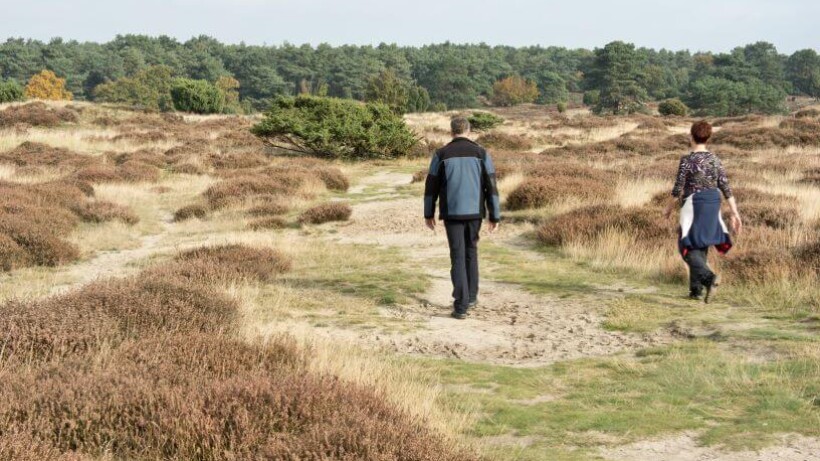 Wandeling van de maand: Groene Wissel Gasselte