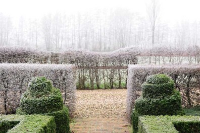 Mooie haag planten in 5 stappen