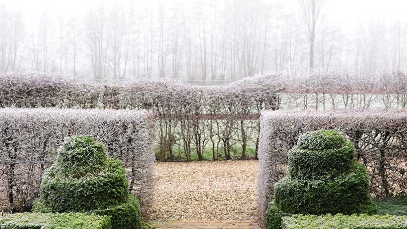 Mooie haag planten in 5 stappen