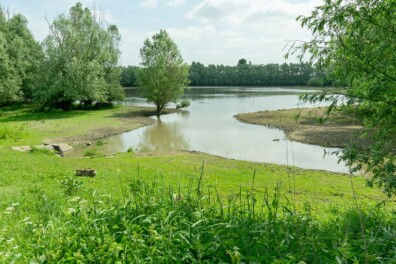 Wandeling van de maand: Groene Wissel Ophemert