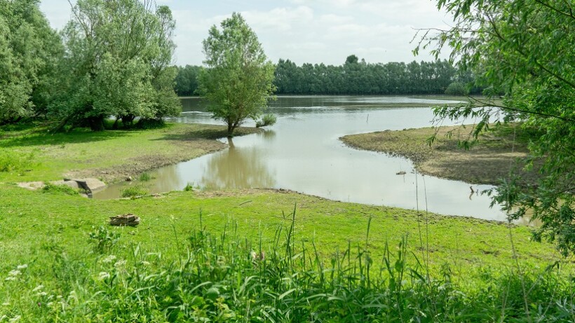 Wandeling van de maand: Groene Wissel Ophemert