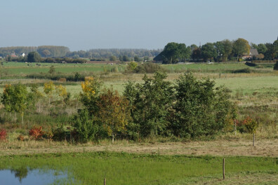 Wandeling van de maand: Ooijpad