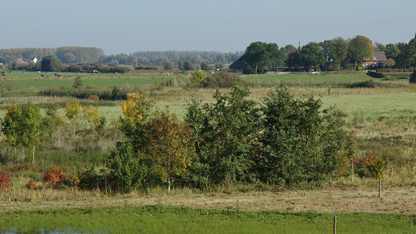 Wandeling van de maand: Ooijpad