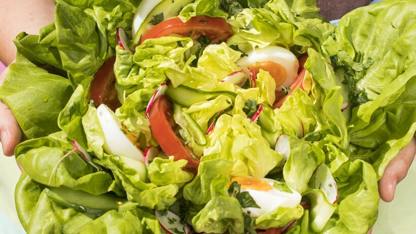 Salade-in-de-krop