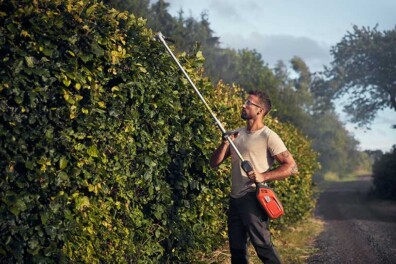 Tips voor het snoeien en knippen van de tuin