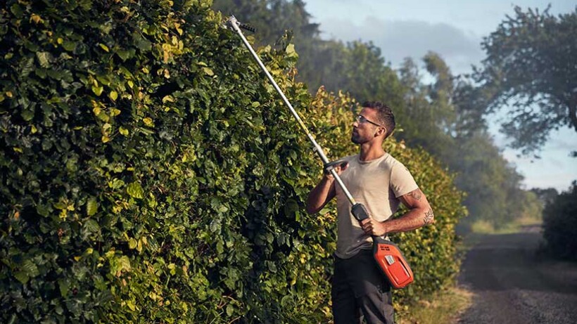 Tips voor het snoeien en knippen van de tuin