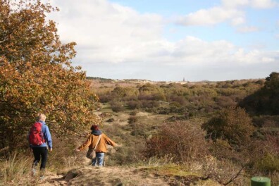 Wandeling van de maand: Trage tocht Meijendel