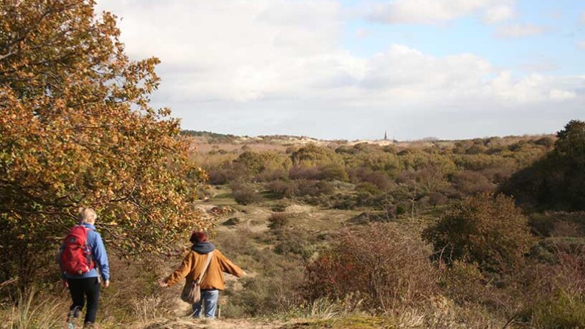 Wandeling van de maand: Trage tocht Meijendel