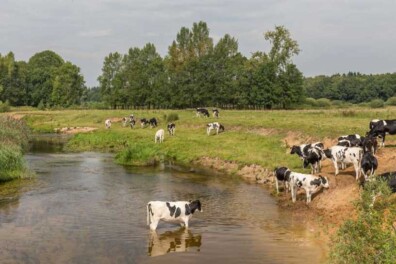 Fietsroute door het Vechtdal