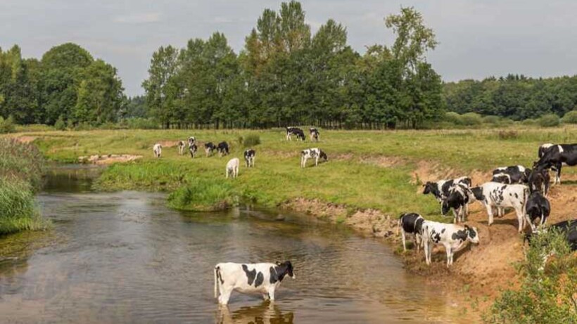 Fietsroute door het Vechtdal