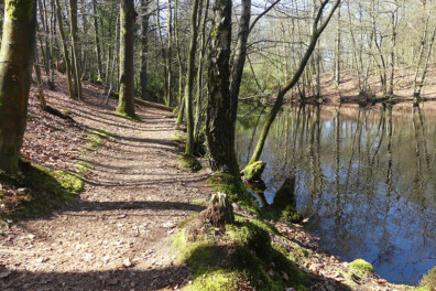 Wandeling van de maand: Trage Tocht ‘s-Graveland