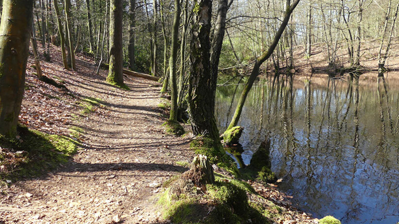 Wandeling van de maand: Trage Tocht ‘s-Graveland